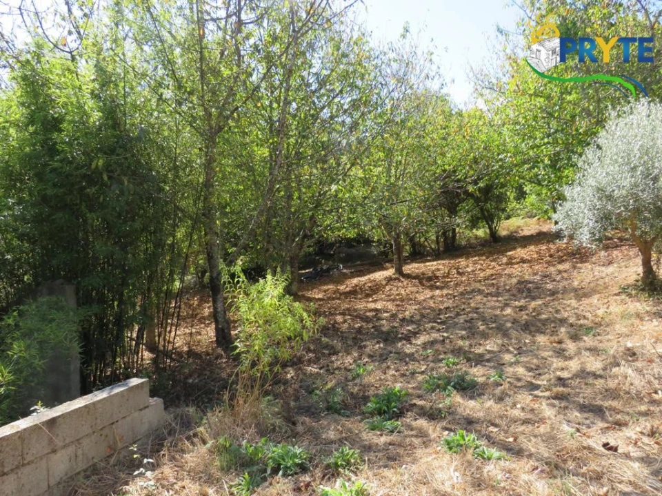 Quinta T8 para Venda em Sertã Foto 169