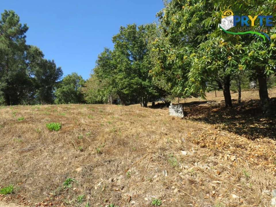 Quinta T8 para Venda em Sertã Foto 170