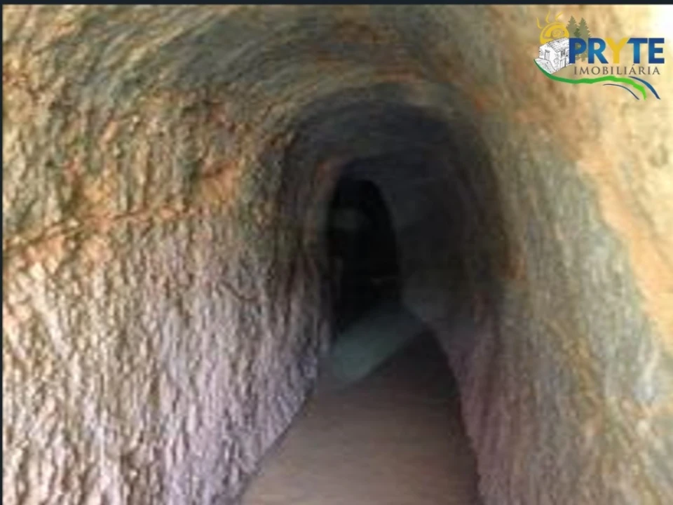 Quinta T8 para Venda em Sertã Foto 171