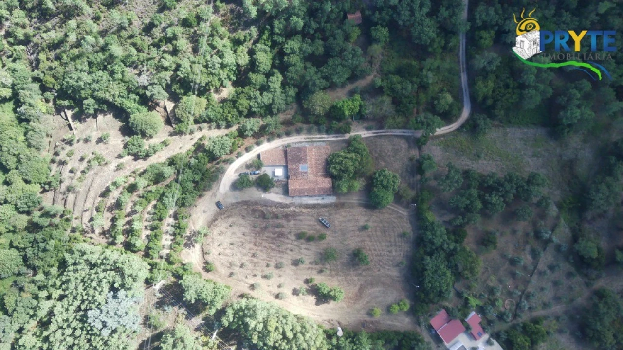 Quinta T8 para Venda em Sertã Foto 174