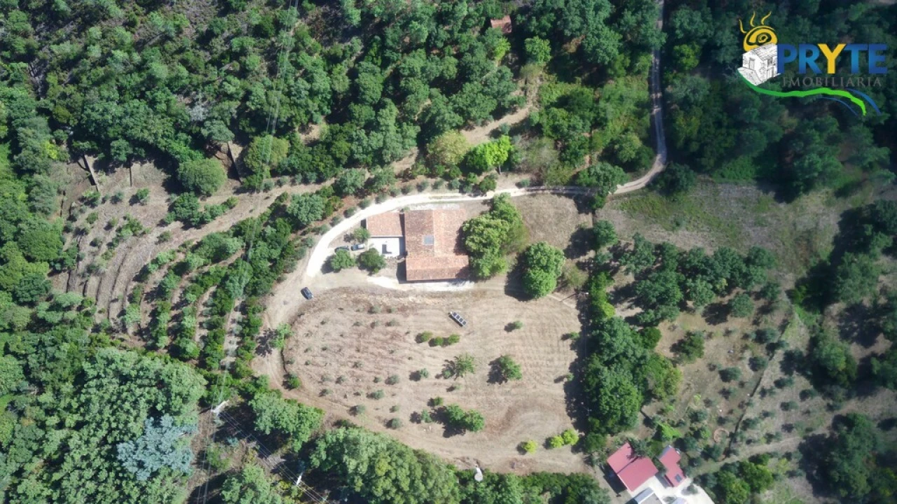 Quinta T8 para Venda em Sertã Foto 175