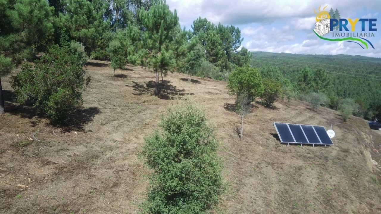 Quinta T8 para Venda em Sertã Foto 178