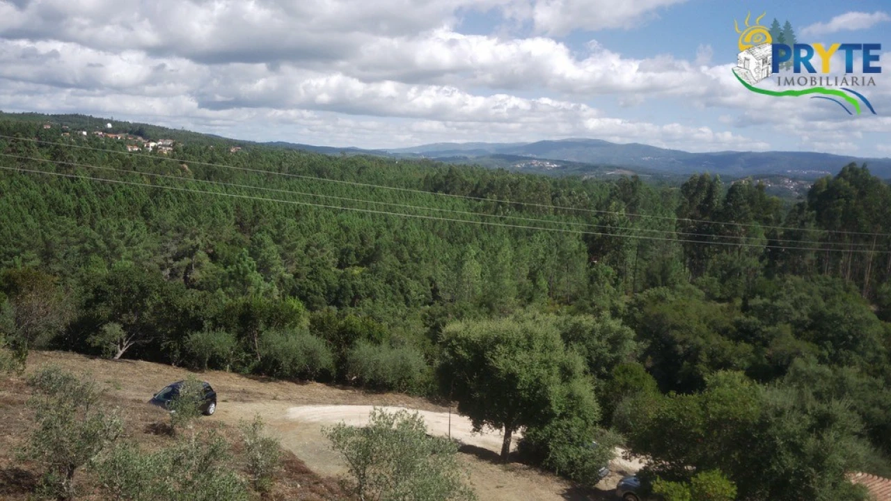Quinta T8 para Venda em Sertã Foto 179