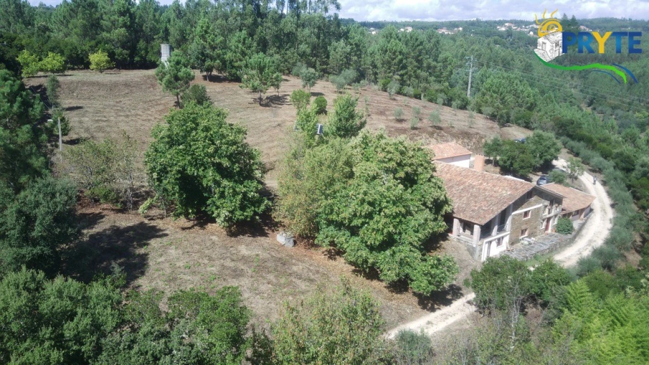 Quinta T8 para Venda em Sertã Foto 185