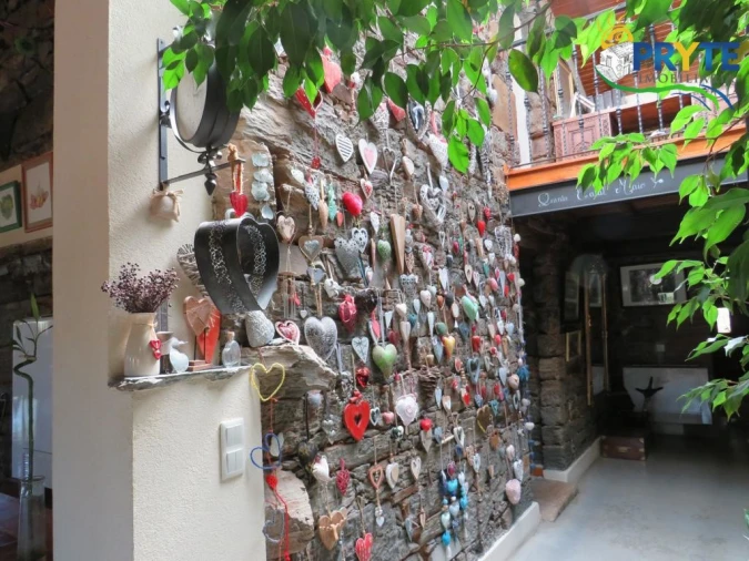 Quinta T8 para Venda em Sertã Foto 12