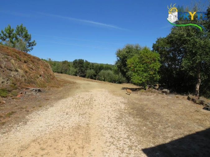 Quinta T8 para Venda em Sertã Foto 68