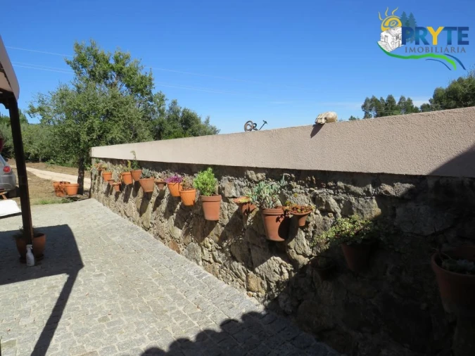 Quinta T8 para Venda em Sertã Foto 112