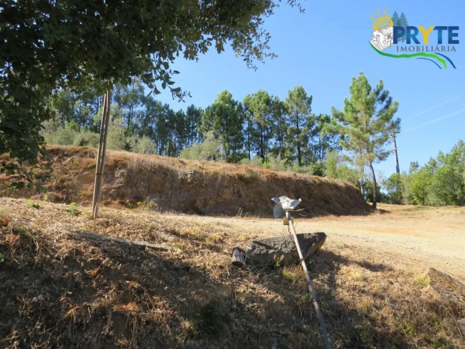 Quinta T8 para Venda em Sertã Foto 113