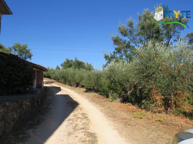 Quinta T8 para Venda em Sertã Foto 116