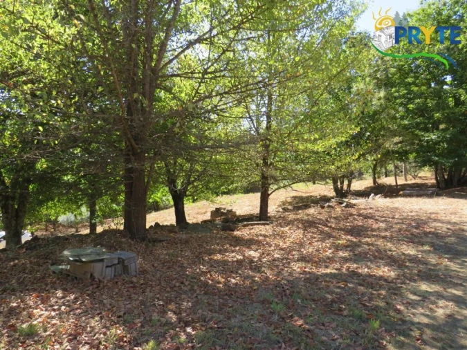 Quinta T8 para Venda em Sertã Foto 130