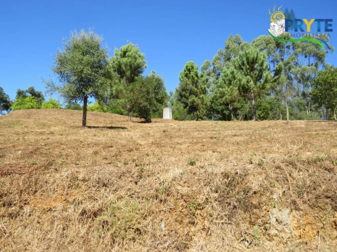 Quinta T8 para Venda em Sertã Foto 132