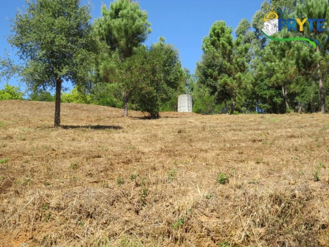 Quinta T8 para Venda em Sertã Foto 133