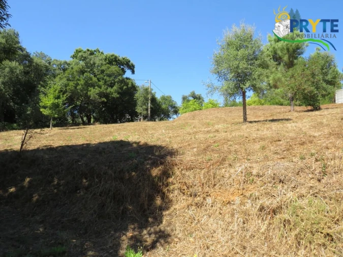 Quinta T8 para Venda em Sertã Foto 134