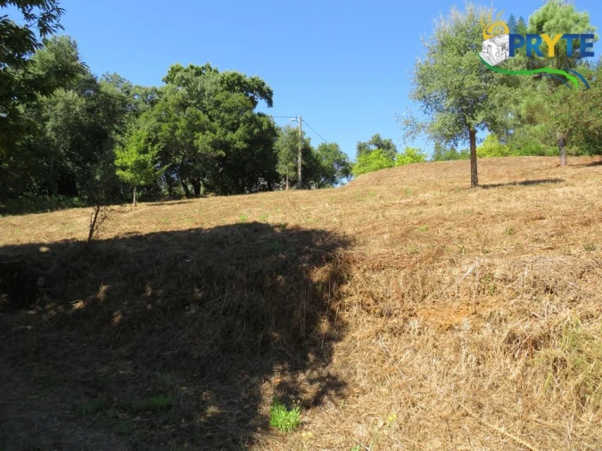 Quinta T8 para Venda em Sertã Foto 135