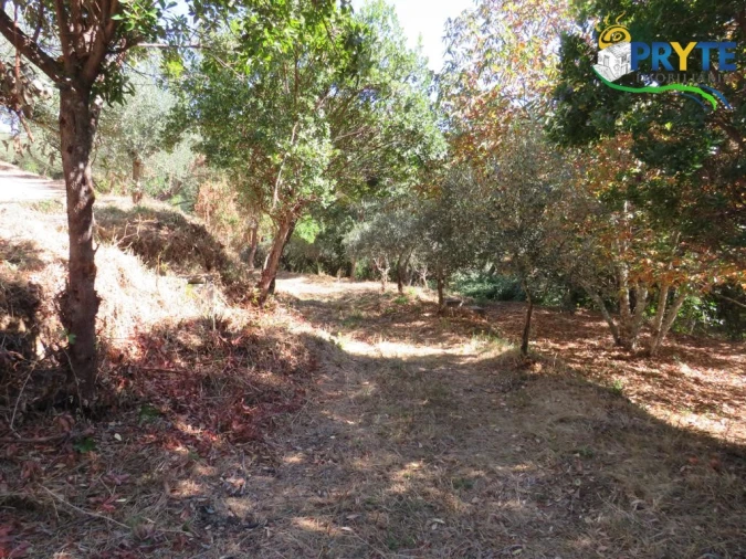 Quinta T8 para Venda em Sertã Foto 144