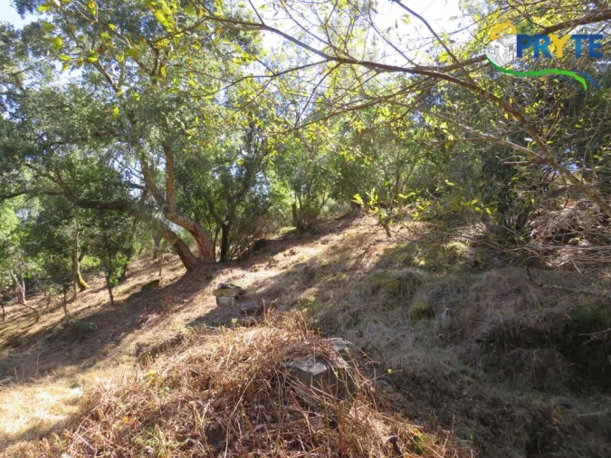 Quinta T8 para Venda em Sertã Foto 152