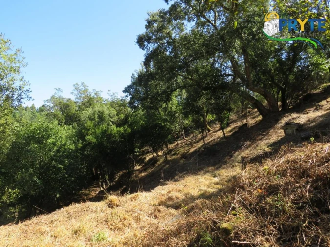 Quinta T8 para Venda em Sertã Foto 153