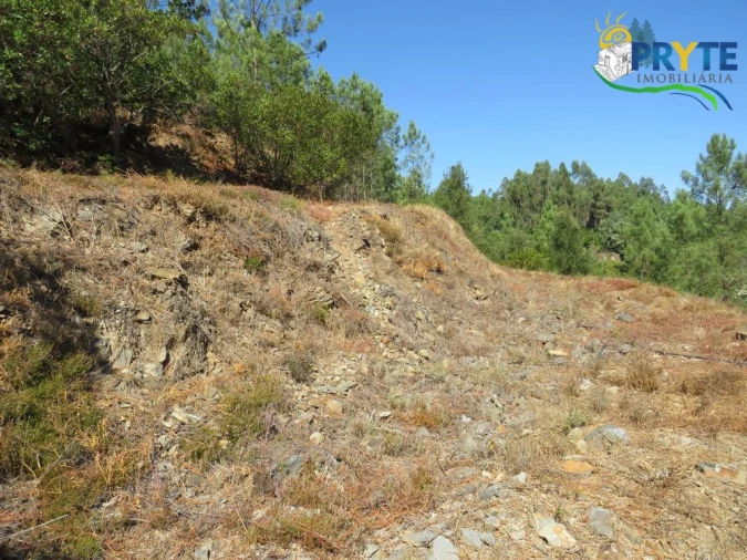 Quinta T8 para Venda em Sertã Foto 159