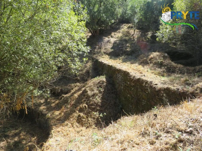 Quinta T8 para Venda em Sertã Foto 162