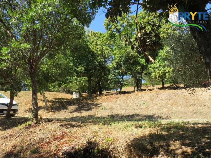 Quinta T8 para Venda em Sertã Foto 168