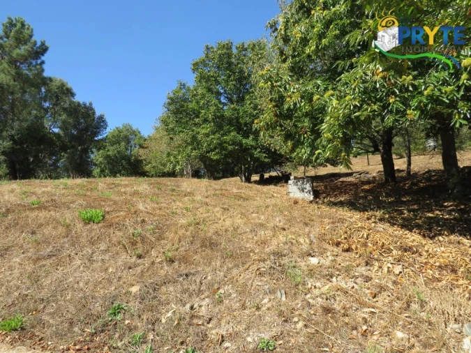 Quinta T8 para Venda em Sertã Foto 170