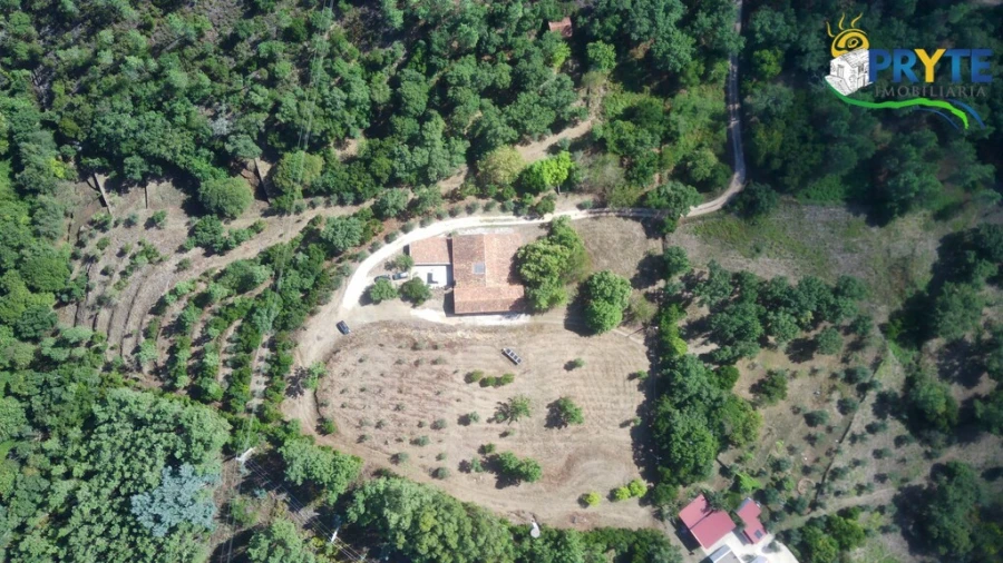 Quinta T8 para Venda em Sertã Foto 175