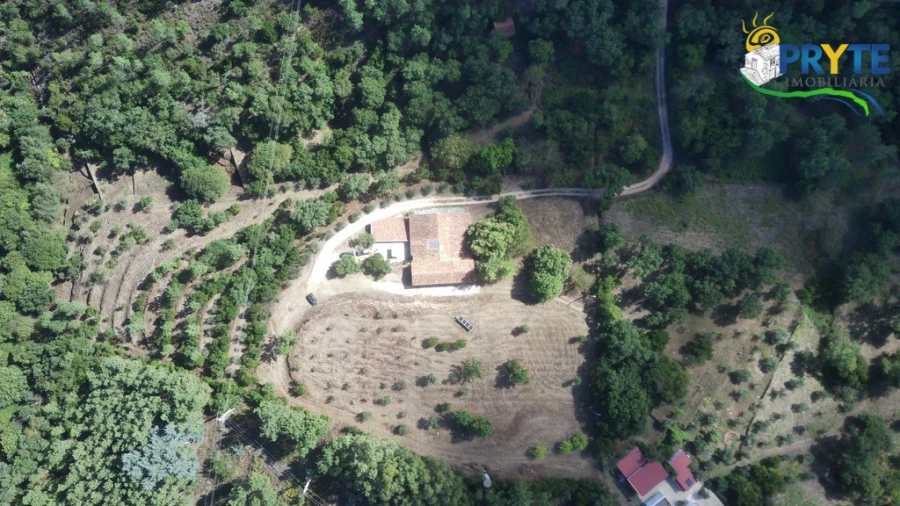 Quinta T8 para Venda em Sertã Foto 176