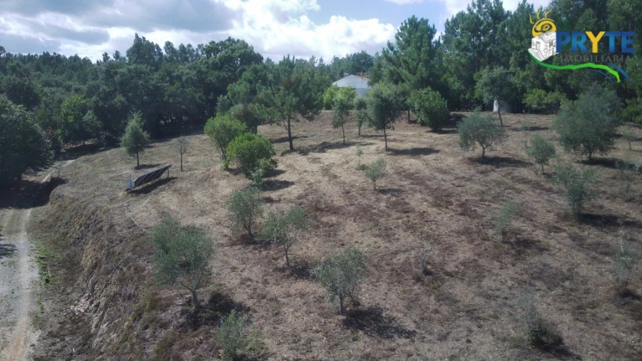 Quinta T8 para Venda em Sertã Foto 181