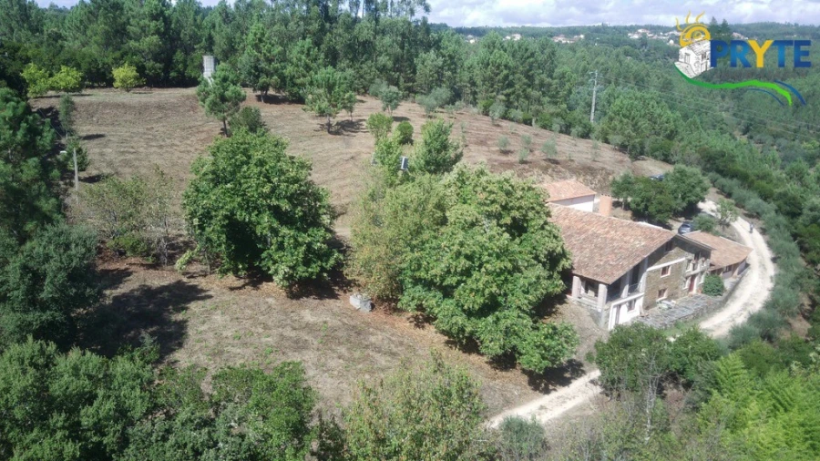 Quinta T8 para Venda em Sertã Foto 185