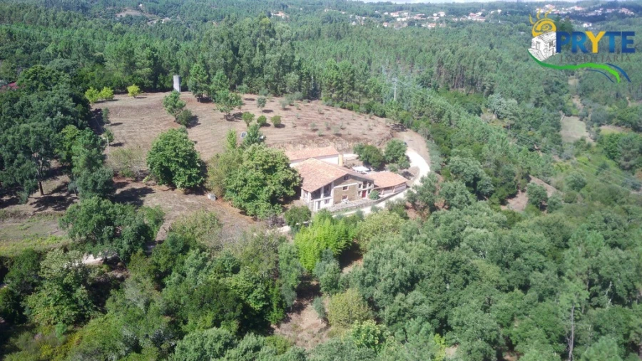 Quinta T8 para Venda em Sertã Foto 188