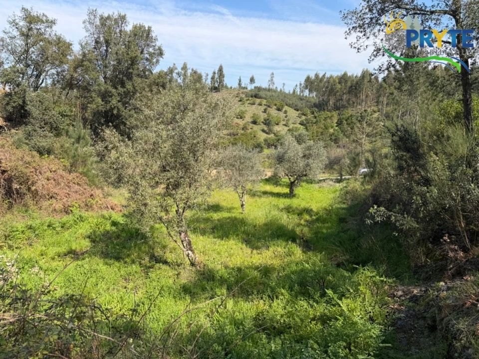 Terreno para Venda em Varzea dos Cavaleiros Foto 6