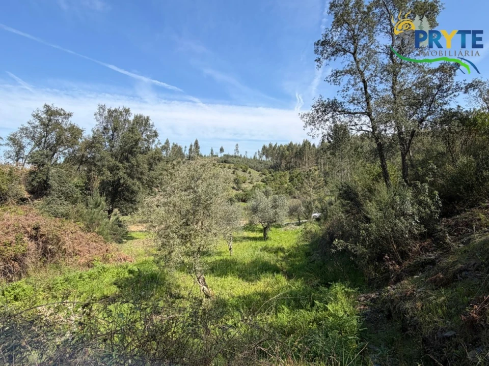 Terreno para Venda em Varzea dos Cavaleiros Foto 7