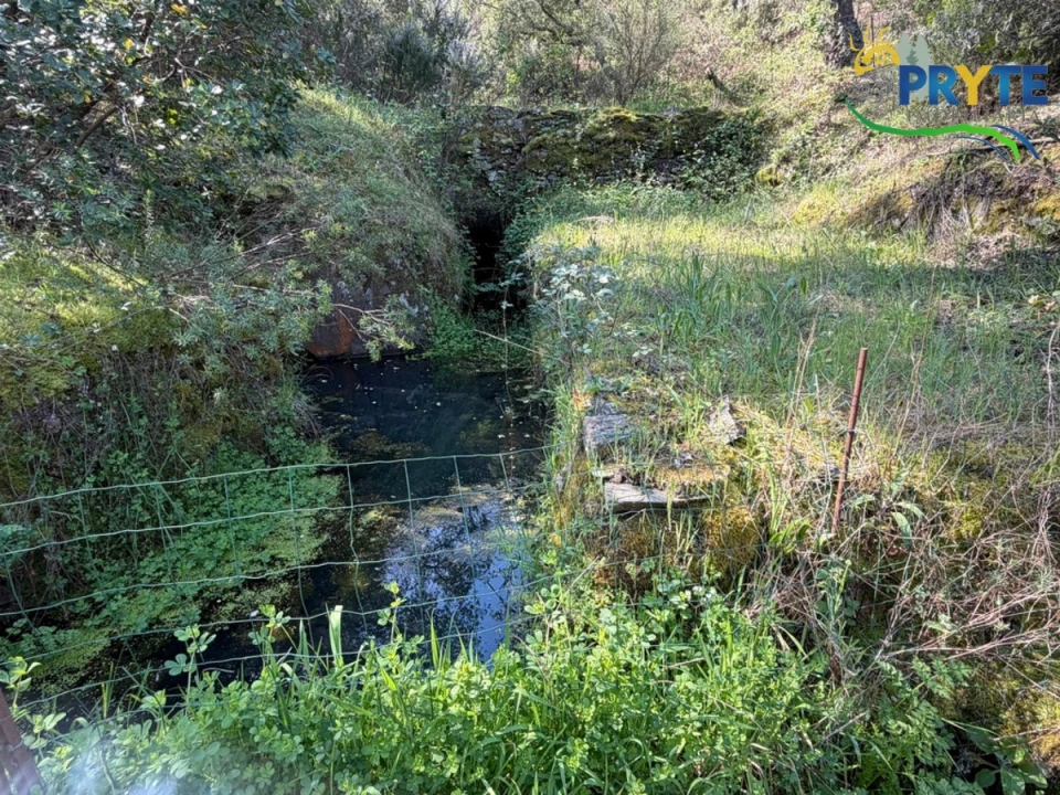Terreno para Venda em Varzea dos Cavaleiros Foto 8