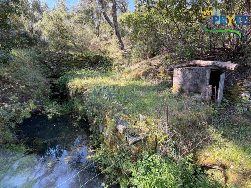 Terreno para Venda em Varzea dos Cavaleiros Foto 4