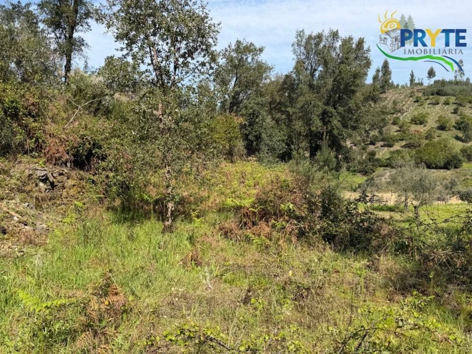 Terreno para Venda em Varzea dos Cavaleiros Foto 13