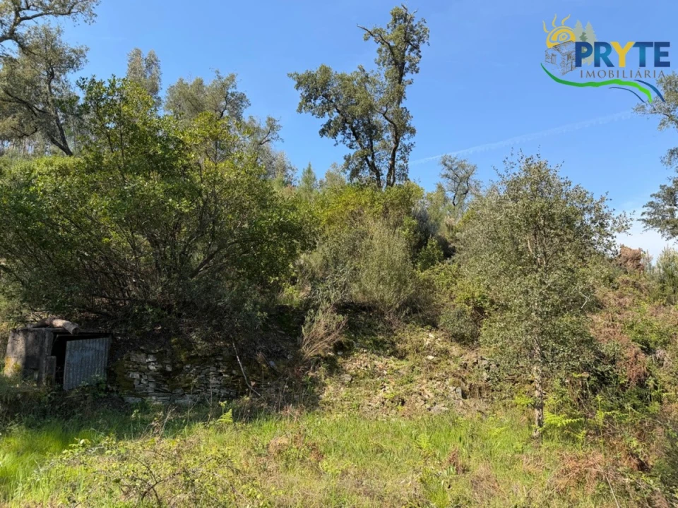 Terreno para Venda em Varzea dos Cavaleiros Foto 15