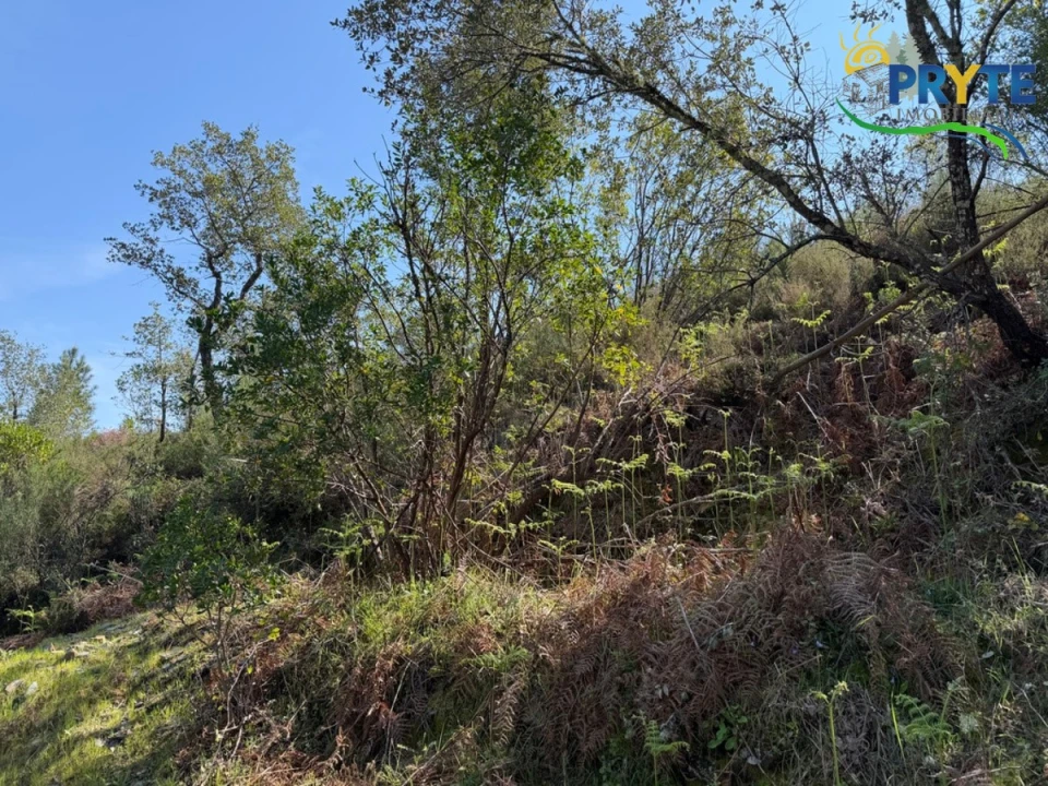 Terreno para Venda em Varzea dos Cavaleiros Foto 16