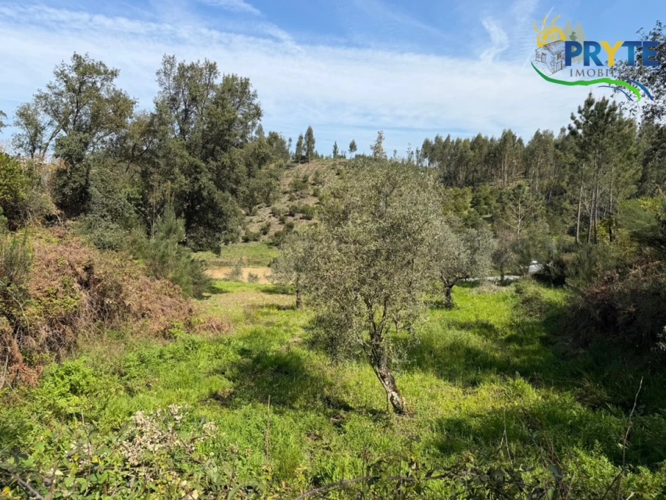 Terreno para Venda em Varzea dos Cavaleiros Foto 17
