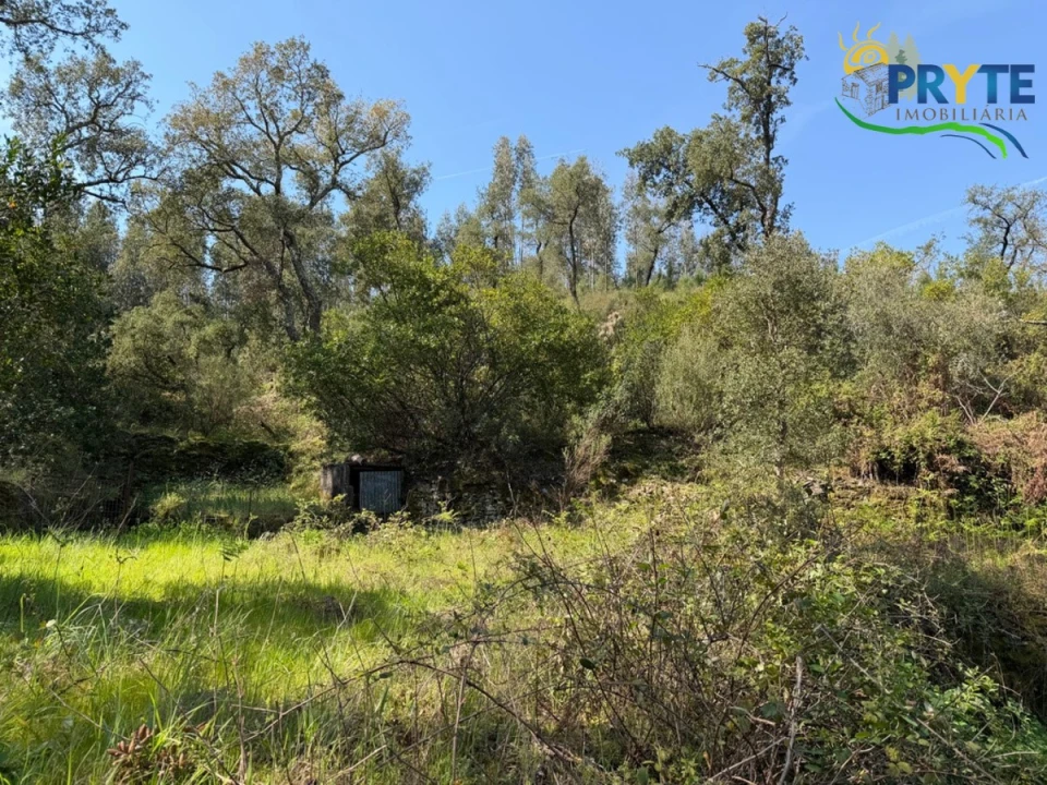 Terreno para Venda em Varzea dos Cavaleiros Foto 21