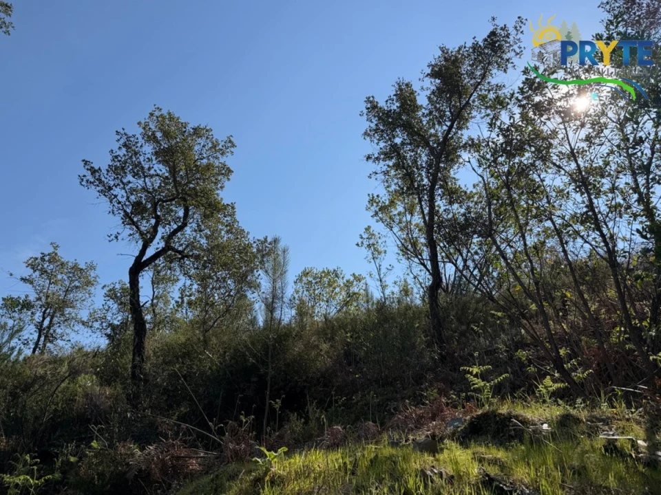 Terreno para Venda em Varzea dos Cavaleiros Foto 23
