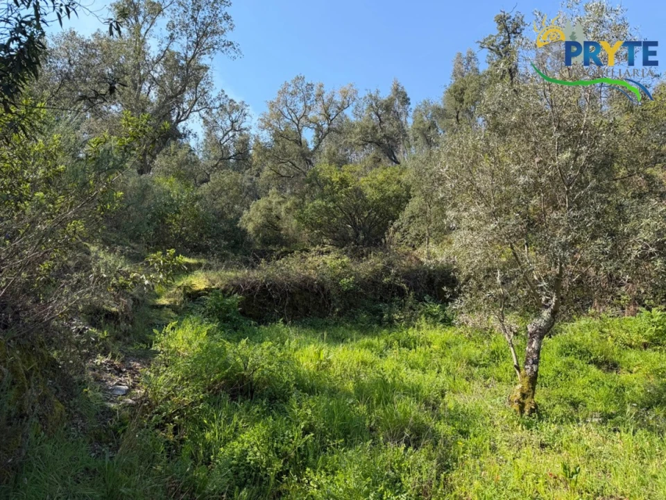 Terreno para Venda em Varzea dos Cavaleiros Foto 25