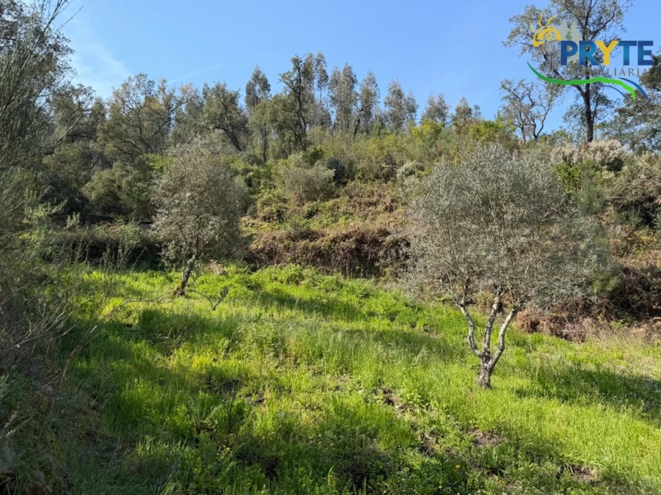 Terreno para Venda em Varzea dos Cavaleiros Foto 27