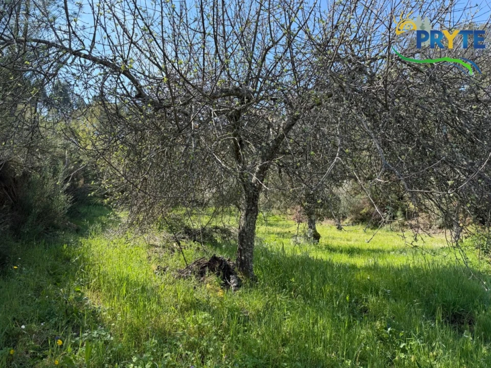 Terreno para Venda em Varzea dos Cavaleiros Foto 31