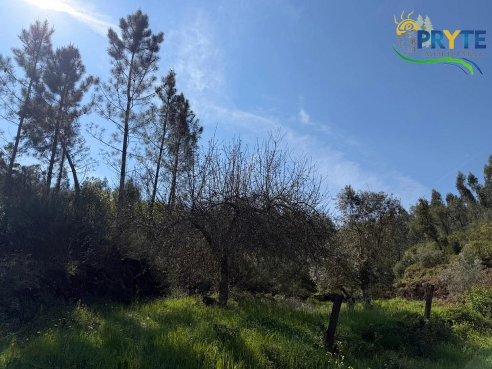 Terreno para Venda em Varzea dos Cavaleiros Foto 34
