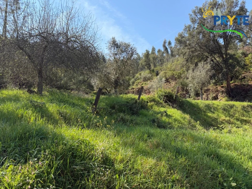 Terreno para Venda em Varzea dos Cavaleiros Foto 35