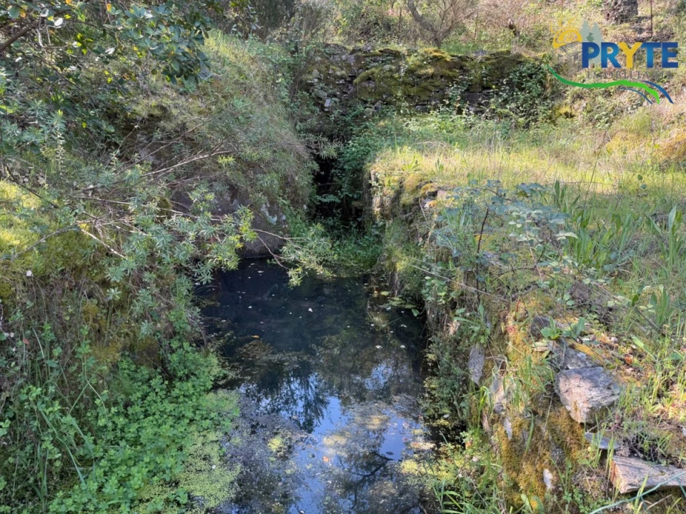 Terreno para Venda em Varzea dos Cavaleiros Foto 5
