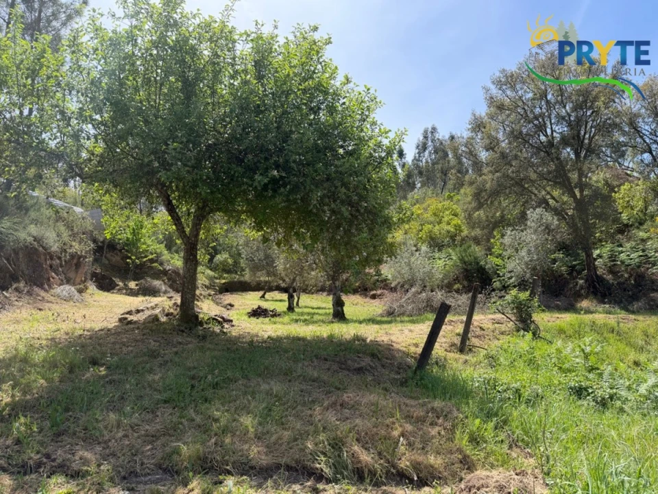 Terreno para Venda em Varzea dos Cavaleiros Foto 6