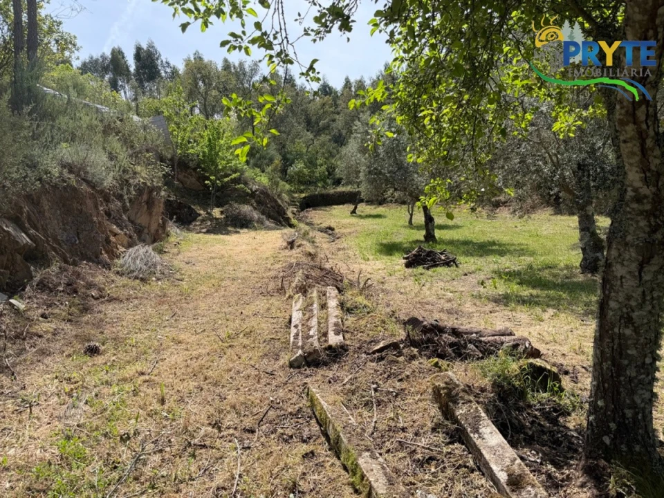 Terreno para Venda em Varzea dos Cavaleiros Foto 7