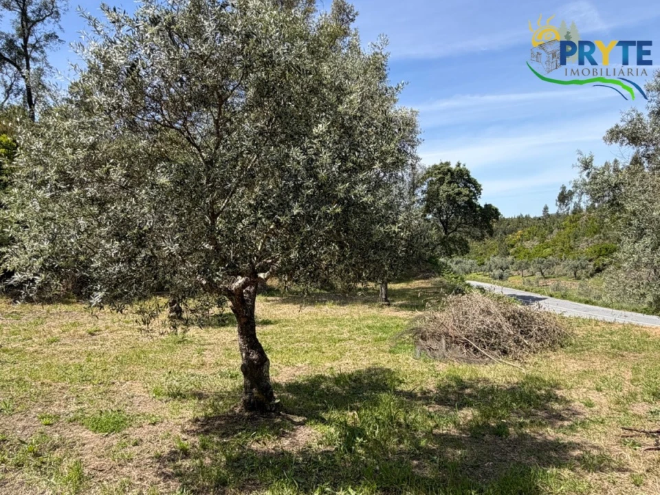 Terreno para Venda em Varzea dos Cavaleiros Foto 10
