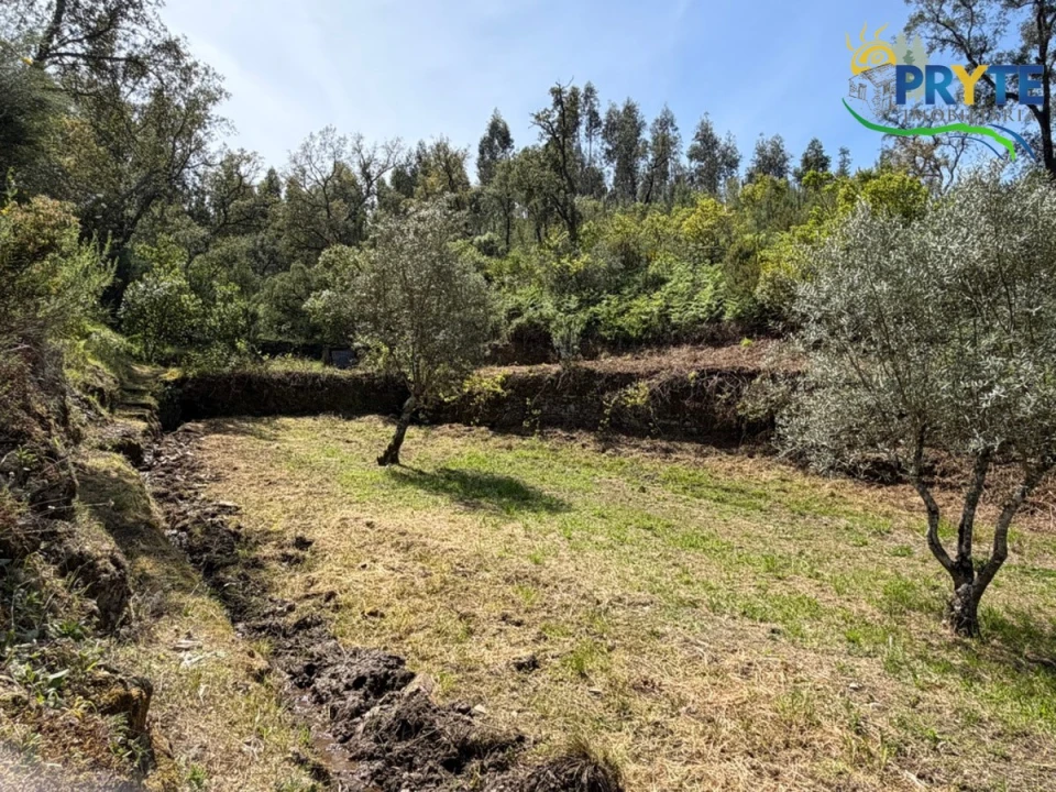 Terreno para Venda em Varzea dos Cavaleiros Foto 11